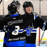 Roller Hockey Looking for New Members